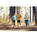 Fitbit Charge 2 Heart Rate + Fitness Wristband - Black, Large (US Version) - 1 Count - Buy Online on GoSupps.com