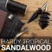 Sandalwood Leather Burnisher Bits 2-Pack for Rotary Tools - Pointed Tip & Multi Grooved Tips for Clean Edges in Leathercraft (Set A) - Buy Online on GoSupps.com