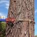 GM CLIMBING 6.8mm Endless Prusik Loop 15-inch - 100% Technora - Heat Resistant Friction Hitch Cord - Adjustable Anchor Set-up - Rescue Rigging Hammocks | One Unit - Buy Online on GoSupps.com