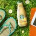 Buy Starbucks Frappuccino Vanilla Iced Coffee (8 x 250ml) | International Shipping Available - Buy Online on GoSupps.com