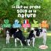  BabyBio Babybio - Infant Milk - Optima 3rd Age with Fibres - 800 g - From 10 Months - Organic - Made in France - Palm Oil Free - Buy Online on GoSupps.com