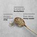 Qi'a Superfood Organic Gluten Free Original Chia  Buckwheat and Hemp Cereal Topper  7.9 Ounce  Non-GMO  6g Plant Based Protein  2.5 grams of ALA Omega-3s  by Nature's Path - Buy Online on GoSupps.com