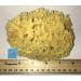 Natural Sea Wool Sponge 4-5 by Awesome Aquatics - Perfect for Bath and Shower - Buy Online on GoSupps.com
