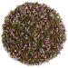 Heather Flowers and Leaves - Heather Flowers Tea Heather Flowers and Leaf Tea Heather Flower Heather Leaves Heatherflower Leaf 100g
