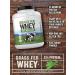 Carlyle Grass Fed Whey Protein Powder | 5lb (80 oz) | 33g of Protein Per Serving | Unflavored | Sugar and Hormone Free | Non-GMO and Gluten Free Supplement | by Herbage Farmstead - Buy Online on GoSupps.com