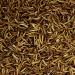 Algova Dried Mealworms for Fish Birds Turtles & Hedgehogs - 170g Natural Insect Feed (1L) | International Shipping Available - Buy Online on GoSupps.com