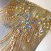 Mirror Pair Beaded Floral Lace Applique with Colorful Rhinestones, Jewelry Motif Embroidery Shoulder Patch for Party Costumes and Dance Dress in Gold - Buy Online on GoSupps.com