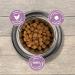 Eukanuba Dog Puppy Dry Food For Medium Breed Chicken 3Kg - Buy Online on GoSupps.com