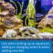 API Quick Start Nitrifying Bacteria â€“ Freshwater & Saltwater Aquarium Starter - Buy Online on GoSupps.com