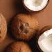Petal Fresh Pure Coconut Body Scrub 16 oz - Smoothing Exfoliator for Soft Skin - Buy Online on GoSupps.com