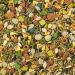 Kaytee Fiesta Hamster and Gerbil Food - 4.5 lbs | Nutritious Blend for Small Pets - Buy Online on GoSupps.com