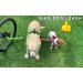Buy Bike and Dog: Patented Toolless Bicycle Attachment & Yellow Dog Leash | Perfect for Cycling with Dogs - Buy Online on GoSupps.com