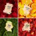 Beauty Concepts Mint Vitamin C Strawberry and Rose Facial Cleansing Wipes - 4 Pack (30 Count Each) - Buy Online on GoSupps.com