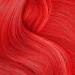 Punky Temporary Hair Color Spray Cougar Red Non-Damaging Spray-On Hair Dye Instant Vivid Hair Color 3.5 oz 1-Pack 3.5 Ounce (Pack of 1) Cougar Red - Buy Online on GoSupps.com