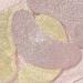 Wander Beauty Baggage Claim Rose Gold Under Eye Patches - Dark Circle & Puffiness Treatment - Depuffing & Firming Eye Mask - Brightening Under Eye Bags - 6 Pairs - Buy Online on GoSupps.com