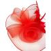 Ladies Large Feather Aliceband/Clip Fascinator Weddings Races Royal Ascot Hair Piece (Red) - Buy Online on GoSupps.com