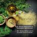 Buy Vitabay Original Moringa Oleifera - 5000 mg Capsules 120 Count - High Dose Nutrients XXL Pack Natural Supplement for Optimal Health - Buy Online on GoSupps.com