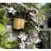 AirBee Bee Pollinator Hotel Interactive Home Pollinators Watch Bees Grow Wooden Garden Nest Box Bee House Wooden Bee Hotel Insect Nest Box Bug house - Buy Online on GoSupps.com