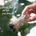 Organic White Sage Sticks (3 Pack) - Smudge Sticks for Cleansing and Healing | Sustainably Sourced Baja California White Sage - Buy Online on GoSupps.com