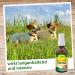 CDVet Insectovet 5L - Natural Flea & Mosquito Defense | Long-Lasting Gentle on Fur & Skin | Eco-Friendly Protection - Buy Online on GoSupps.com