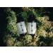 Holos Kombucha Elderflower 12 x 330ml Bottles | Small-Batch, Low-Sugar & Unpasteurized with All-Natural Ingredients - Buy Online on GoSupps.com