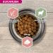 Eukanuba Senior Adult Dog Dry Food For Small and Medium Breeds Lamb & Rice 2.5kg - Buy Online on GoSupps.com