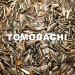 Tomodachi Chicken Food - Sunflower Seed Snacks & Daily Feed | 1kg Bucket | Premium Bird Feed - Buy Online on GoSupps.com