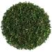 Chervil Leaf Spice - Chervil Chervil Spice Chervil Leaf 50 g (1 pack)