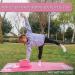 ABTECH Unicorn Yoga Starter Kit for Kids - Includes Yoga Blocks, Ball, Non-Slip Towel, Drawstring Bag - Pink Set for Girls Ages 3-12 - Buy Online on GoSupps.com