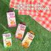 O s Bubble Popping Boba Kit DIY Bubble Tea (Mango Green Tea) - Buy Online on GoSupps.com