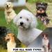 Wahl Pet Refresh Lavender Cleaning Wipes - 50 Wipes for Dogs - Ideal for Ears, Nose, Paws, Bottom, and Sensitive Areas - Buy Online on GoSupps.com