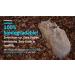 Burlap Sandbags 14 x 26 - 50lb Weight Capacity (5 Pack) | Flood Barrier, Tent Sandbags | Sandbaggy - Buy Online on GoSupps.com
