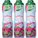 Teisseire Bidon de Sirop Framboise 60 cl - Lot de 3 - Buy Online on GoSupps.com