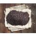 Plantago Psyllium Seeds | Plantago Psyllium L | Psyllium Noir Graine | Health Embassy (100g) - Buy Online on GoSupps.com