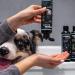 Alphazoo Repair & Care Conditioner 200ml for Cats & Dogs | Natural Shampoo for Soft Fur | All Breeds Langhaar & Kurzhaar - Buy Online on GoSupps.com