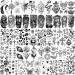 3D Black Skull Halloween Temporary Tattoos - 59 Sheets | Long Lasting Fake Tattoos for Adults & Kids - Realistic Owl, Wolf, Lion, Tiger, Devil | Body Art Stickers - Buy Online on GoSupps.com