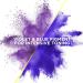 PROVOKE Touch Of Silver Brightening Purple Shampoo 200ml - Neutralizes Yellow & Orange Tones - Violet & Blue Pigments - Pack of 1 - Buy Online on GoSupps.com