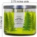 Buy White Barn 3-Wick Candle with Essential Oils - Lemon Mint Leaf - 14.5 oz - Spring 2021 Scents - International Shipping Available - Buy Online on GoSupps.com