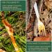 400 Bamboo Carbonized Forks - Biodegradable & Sanitized Disposable Cutlery - Buy Online on GoSupps.com