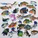 50Pcs Funny Fishing Rod Decals for Trucks, Windows, Boats - Grouper, Bass, Trout, Sailfish Stickers - Buy Online on GoSupps.com