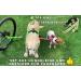 Patented Bike & Dog Leash - Dog Harness in Yellow with 3 Ring Dishes & Bicycle Bridles for Ultimate Outdoor Adventures - Buy Online on GoSupps.com