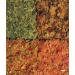 Tetra Min Menu Fish Feed - Varied Main Feed Mix for All Ornamental Fish - 100 ml Can (25 g) - Buy Online on GoSupps.com