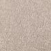Amazon Basics GOTS Certified Organic Cotton Washcloths - 12-Pack in Delicate Fawn - Buy Online on GoSupps.com