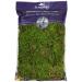 SuperMoss (25322) Forest Moss Preserved, Fresh Green, 8oz 200 in3 Bag (Appx. 8oz)