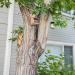 Relaxdays Squirrel Feeder - FSC-Certified Natural Wood, Folding Roof, Ventilation Holes - Hanging Feeding Station - Buy Online on GoSupps.com