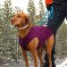 Kurgo Core Dog Sweater - Lightweight Fleece 2-Way Zipper Harness Compatible XS Size - Purple Violet - Buy Online on GoSupps.com
