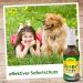 CDVET ZECKEX Ticket Defense Spray 20 ml | Natural Tick Protection for Humans & Animals | Dermatologically Tested Long-Lasting Effect - Buy Online on GoSupps.com
