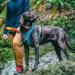 Kurgo Journey Air Dog Harness XL - Padded Chest & Back Handle for Dogs 34-47 kg - Red/Gray - International Shipping - Buy Online on GoSupps.com