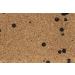 Premium Smoking Wood Chips: Beech & Juniper - 500g | FTM - Fishing Tackle Max - International Shipping - Buy Online on GoSupps.com