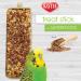 Kaytee Flax Avian Treat Stick with Superfood 5.5 Ounce - Nutritious Bird Snack - Buy Online on GoSupps.com